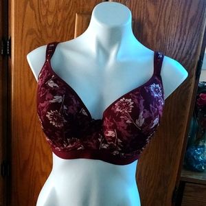 Bras 38D Jessica Simpson
